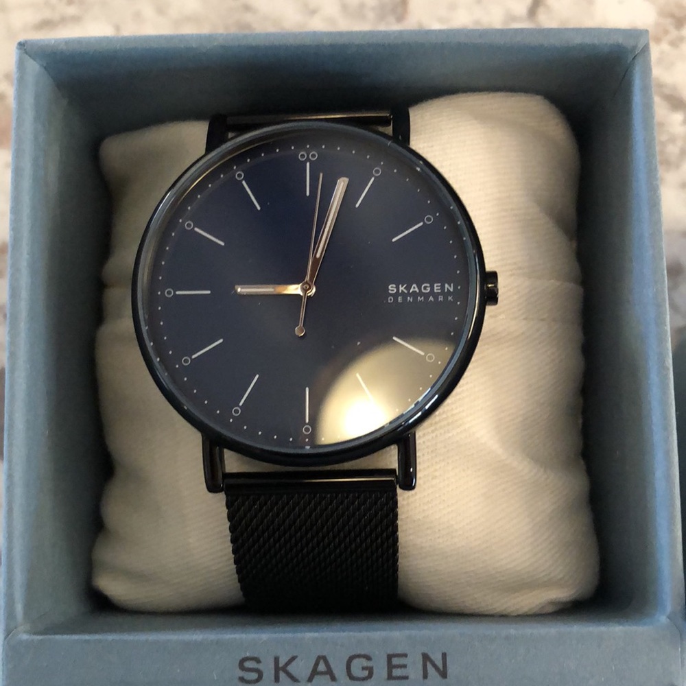 Skagen men’s mesh band watch